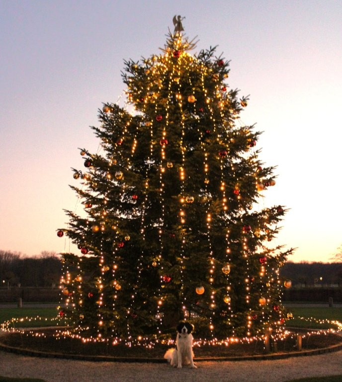 Herzlich Willkommen beim Steverufer