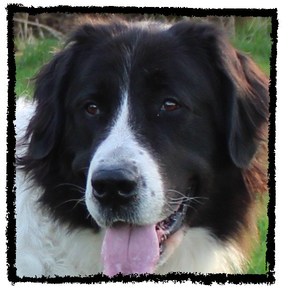 <p><b>geb.  am  23.12.2016</b></p>
<p><b>gest. am  22.10.2025</b></p>