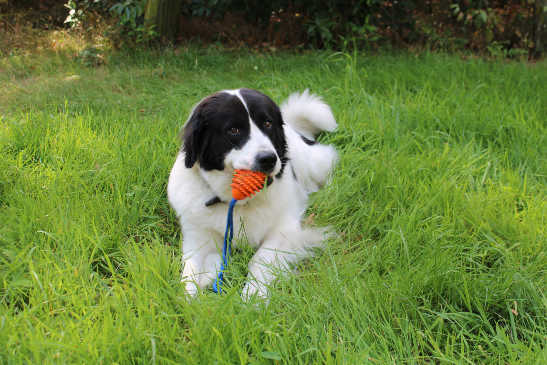Herzlich Willkommen beim Steverufer